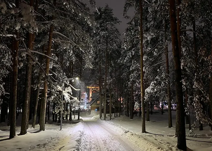 Mount Inn Obradovic